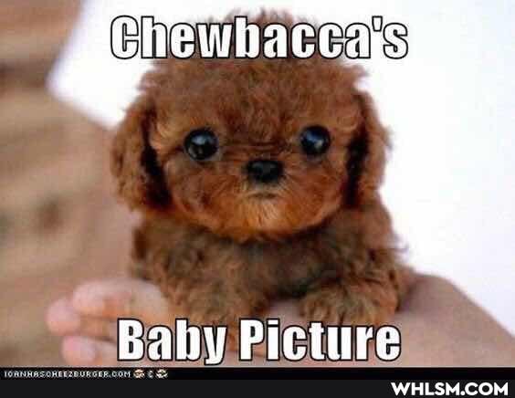 e -Baby Picture...