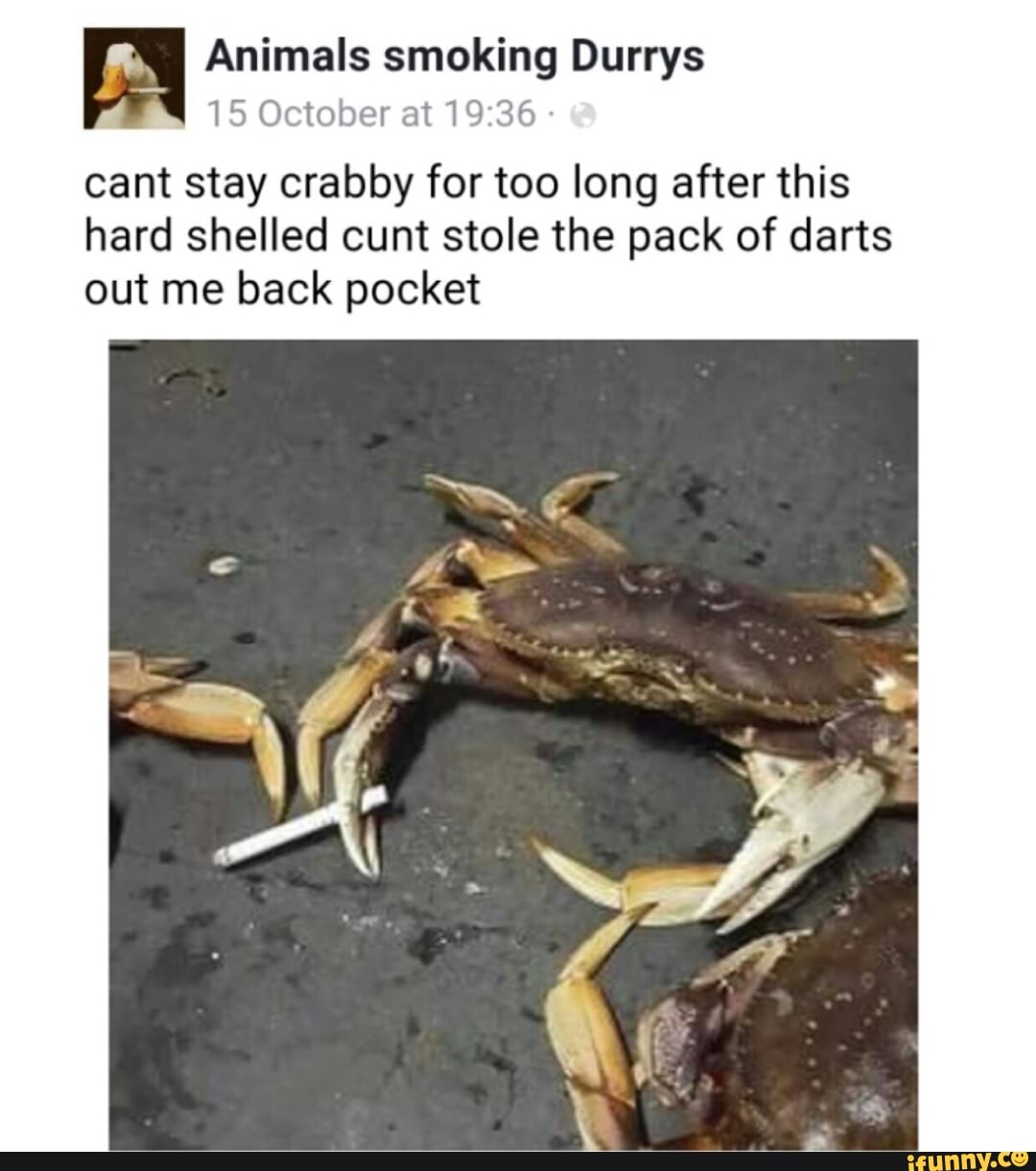 M Animals smoking Durrys cant stay crabby for too long after this hard  shelled cunt stole the pack of darts out me back pocket 