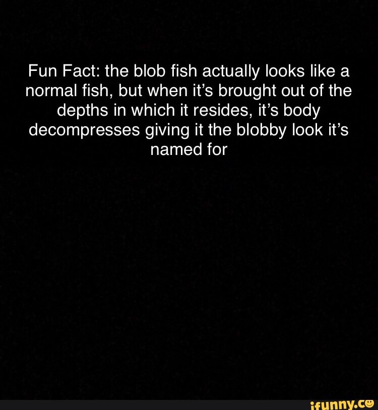 Fun Fact the blob fish actually looks like a normal fish, but when it