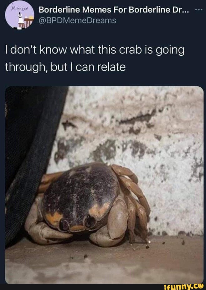 Borderline Memes For Borderline Dr... I don't know what this crab is ...