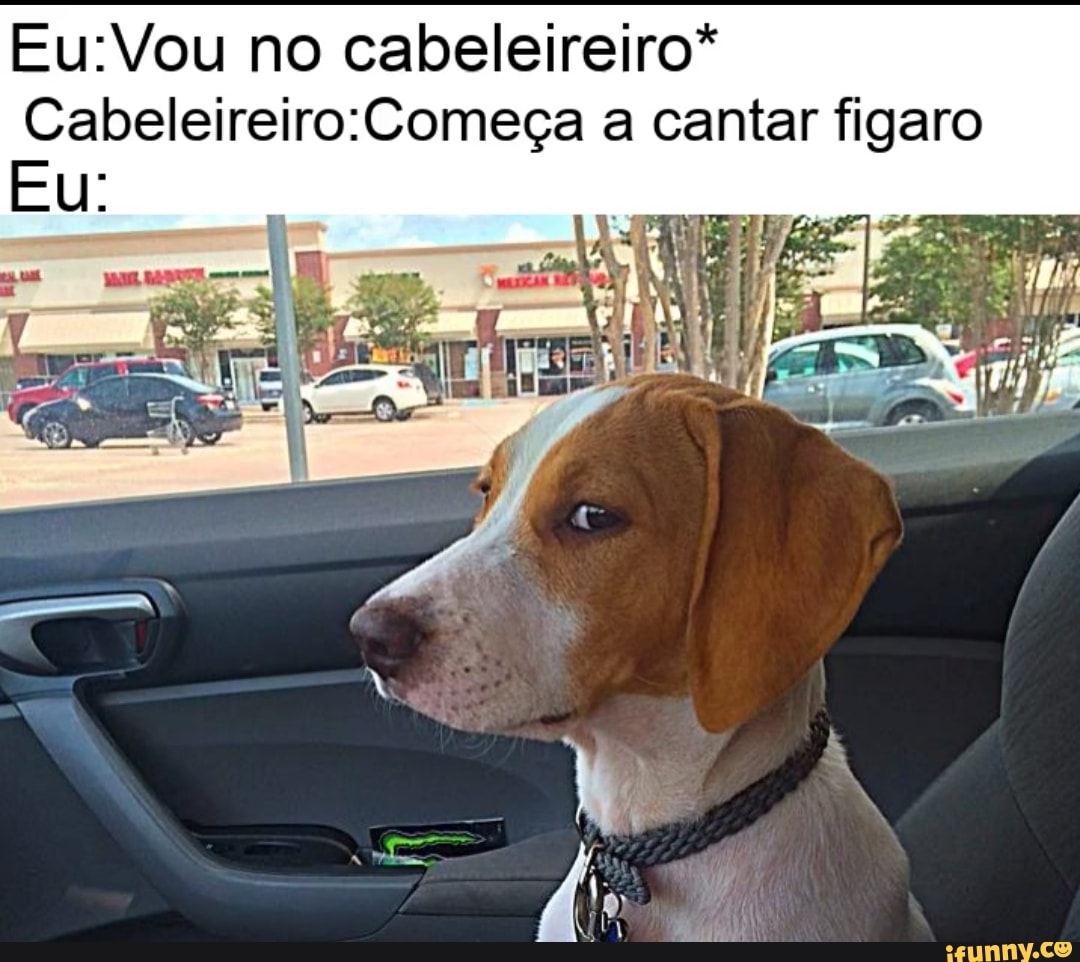 no cabeleireiro* a cantar figaro