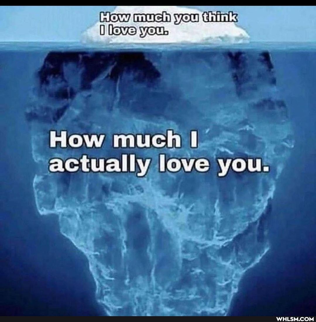 much you
How much love you