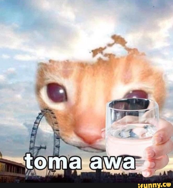 tomaawa