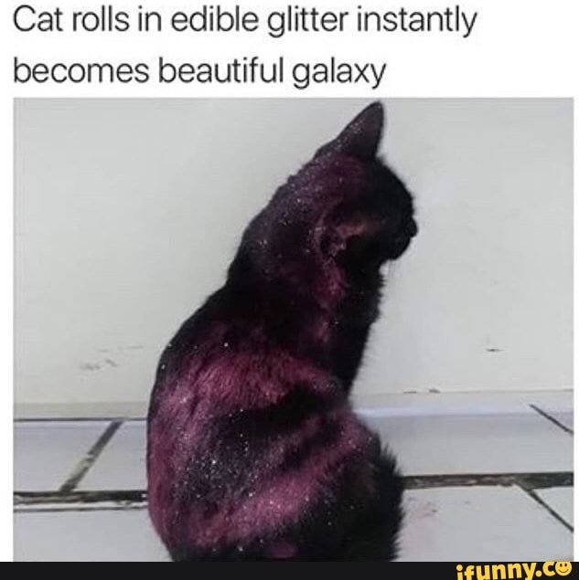Cat rolls in edible glitter instantly
becomes beautiful galaxy