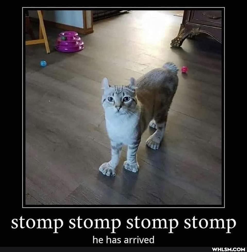 stomp stomp stomp stomp
he hac arrived