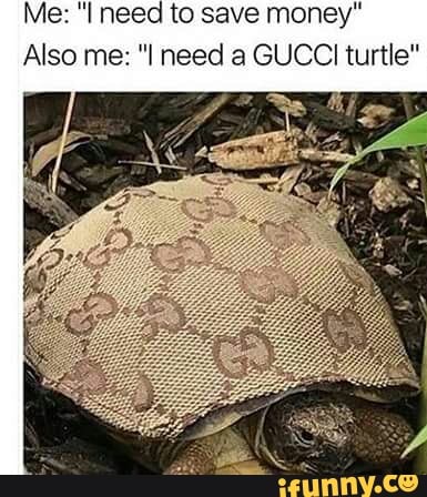 Korrekt ejendom grill Me: “I need to save money" Also me: ”I need a GUCCI turtle" - )