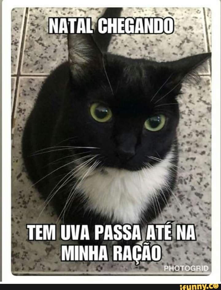 DS
MINHA RAGAC