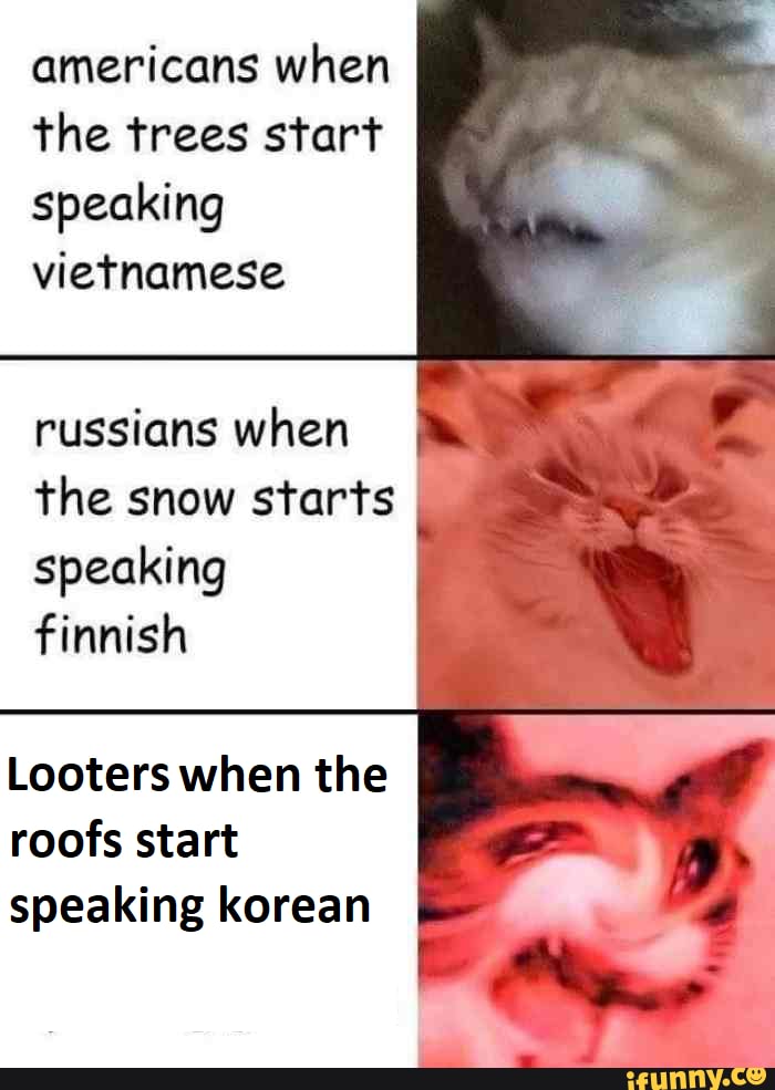 americans when
the trees start
speaking
vietnamese
russians when
the snow starts
speaking
finnish
Looters when the
roofs start
speaking korean