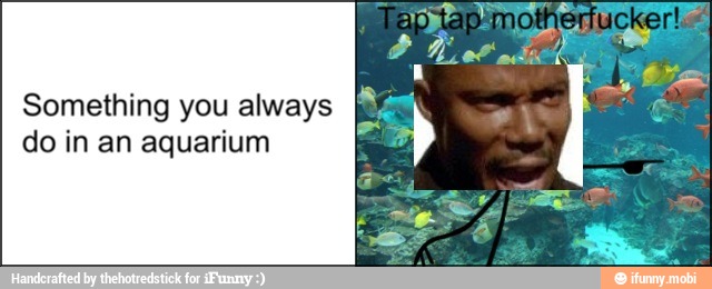 Something you always
do in an aquarium