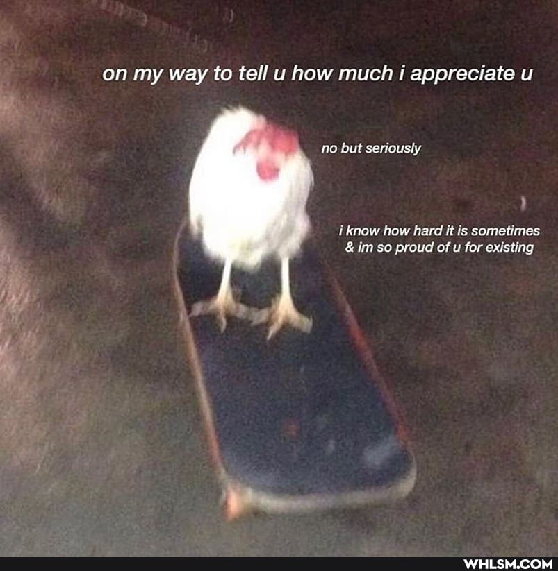 on my way to tell u how much i appreciate u
no but seriously
i know how hard it is sometimes
&im so proud of u for existing