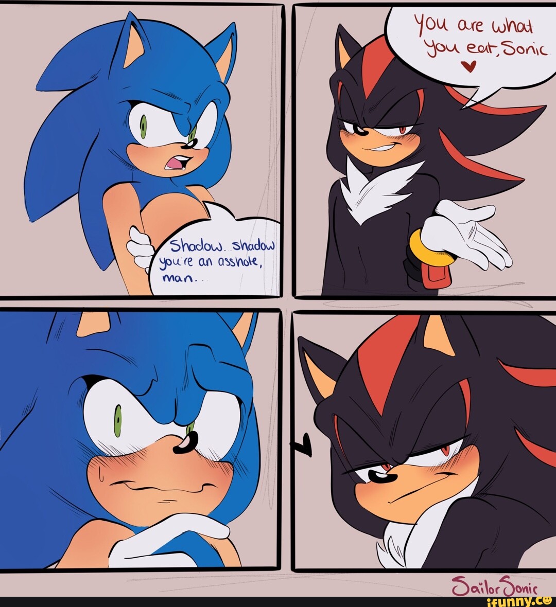 Everything Sonadow (Sonic X Shadow Comic Dubs) 