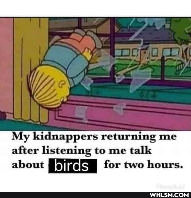 My kidnappers returning me after listening to me talk about I for two hours.