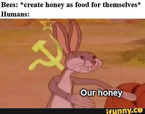 Bees: *create honey as food for themselves*
Humans:
Our honey,