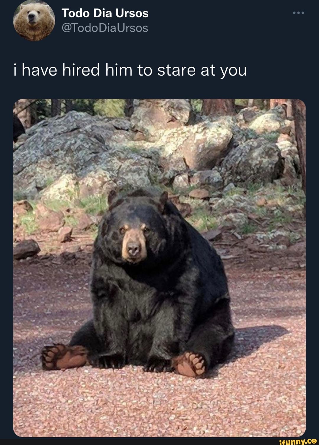 I have hired him to stare at you - iFunny