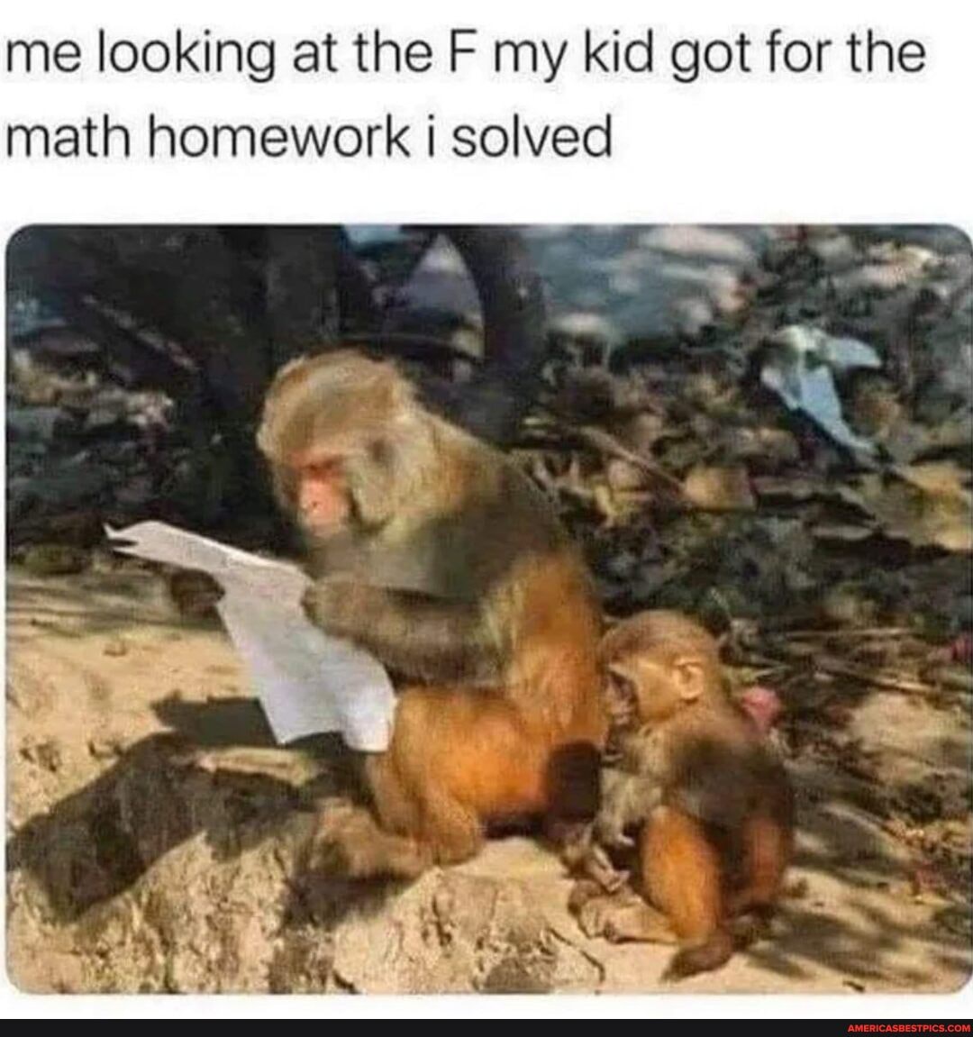 me looking at the FF my kid got for the math homework solved