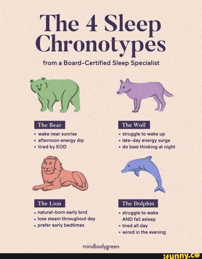 Which One Is You? - The 4: Sleep Chronotypes From A Board-Certified ...