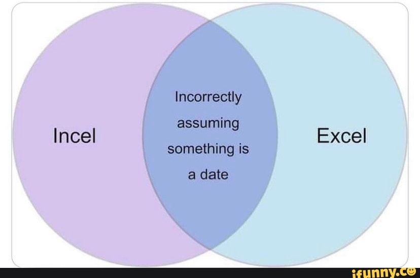 incorrectly-assuming-something-is-a-date-incel-excel-ifunny