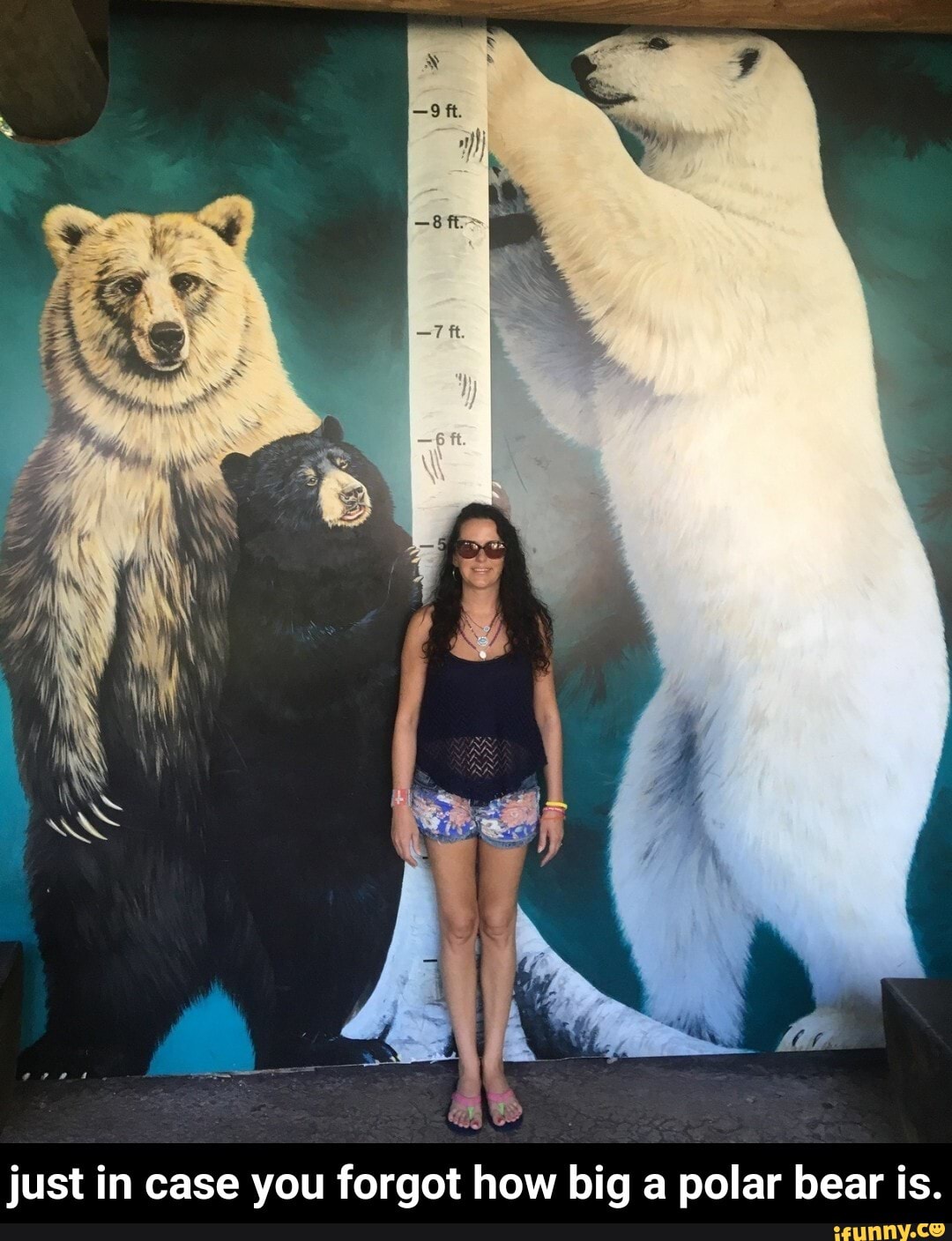 just in case you forgot how big a polar bear is. - just in case you forgot how big a polar bear is.
