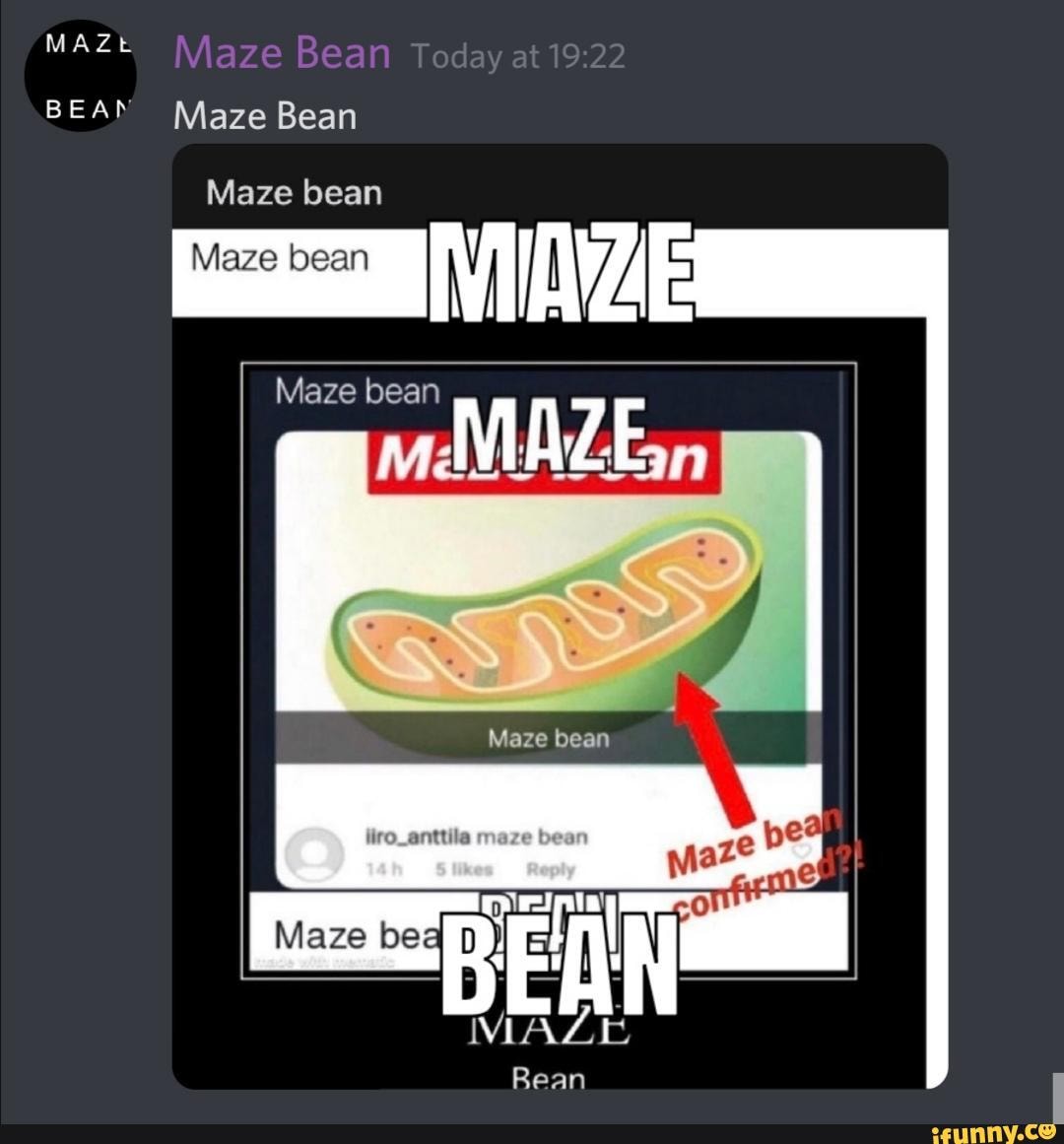 MAZE BEAN Maze Bean Today BEAN Maze Bean Maze bean Maze bean Maze bean