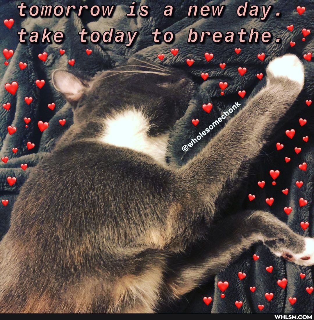 new day.
of
& 4