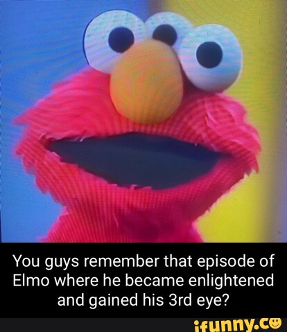 You guys remember that episode of Elmo where he became enlightened and ...