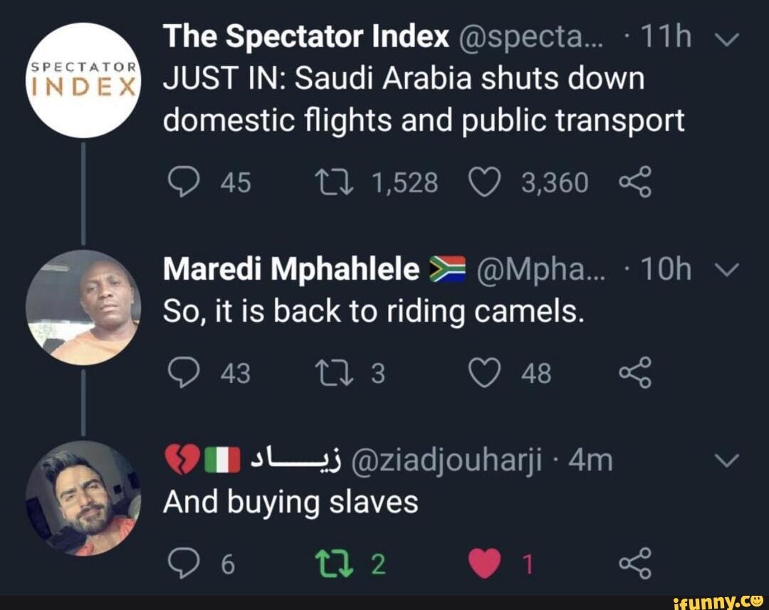 The Spectator Index @specta.. -11h v
JUST IN: Saudi Arabia shuts down
domestic flights and public transport
10h v pd So, it is back to riding camels.
