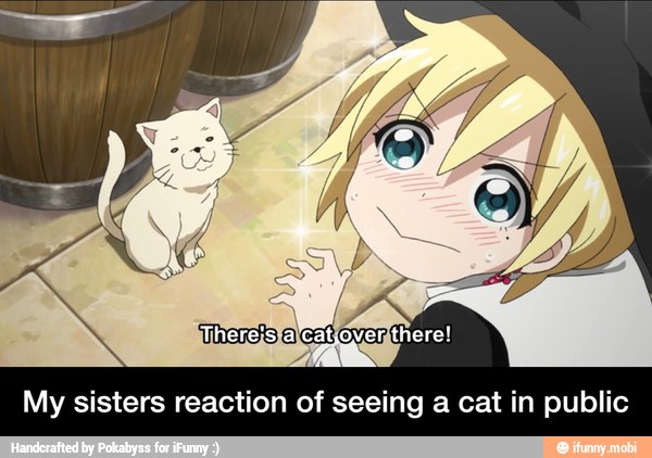 EN
My sisters reaction of seeing a cat in public - My sisters reaction of seeing a cat in public