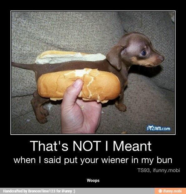 That's NOT I Meant
when I said put your wiener in my bun - Woops