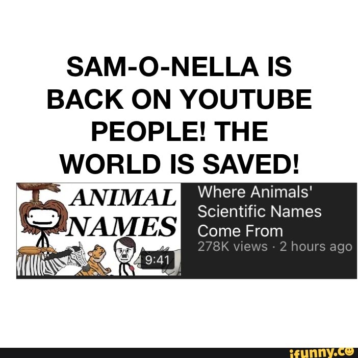 SAM-O-NELLA IS BACK ON YOUTUBE PEOPLE! THE WORLD IS SAVED! ANIMAL Where
