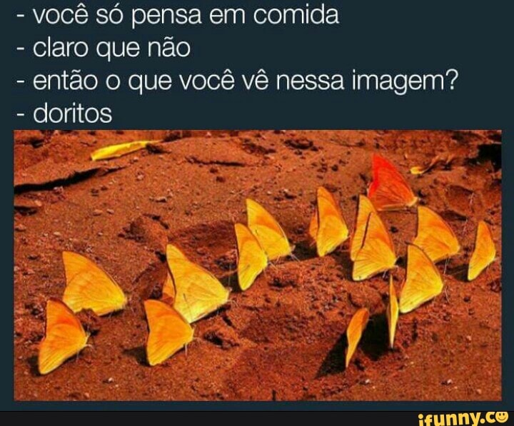 você só pensa em comida
Claro que não
então o que você vê nessa imagem?