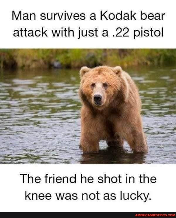 Man survives a Kodak bear attack with just a .22 pistol
The friend he shot in the knee was not as lucky.