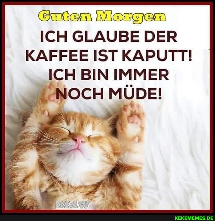 Guten Morgen
ICH GLAUBE DER KAFFEE IST KAPUTT!
ICH BIN IMMER NOCH MÜDE!
ER