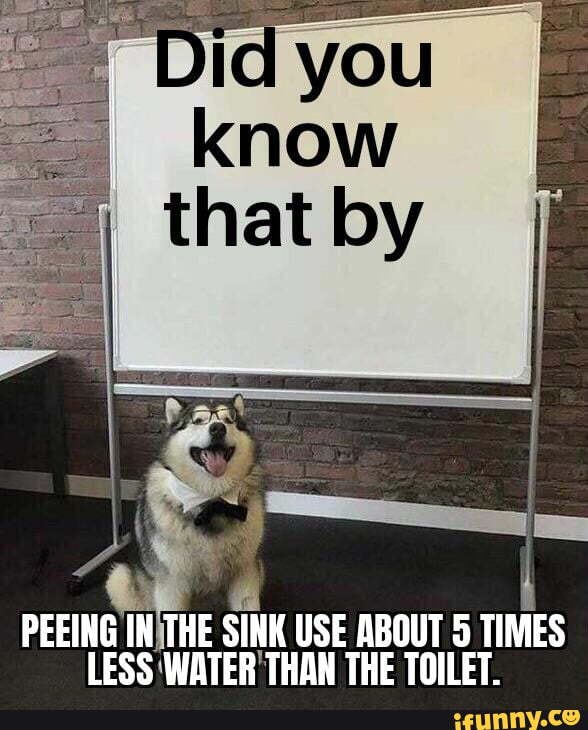 Did you know that by PEEING IN THE SINK USE ABOUT 5 TIMES LESS WATER