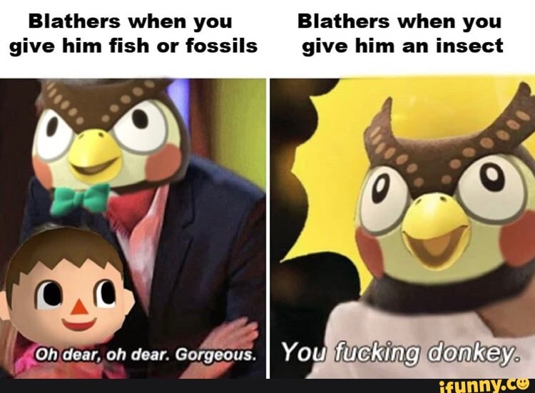 Blathers when you Blathers when you give him fish or fossils give him an insect iFunny