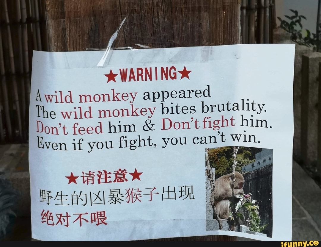 WARN I NG
Awild monkey appeared
The wild monkey bites brutality.
Don't feed him & Don't fight him.
Even if you fight, you can't win.
KTER *
AL