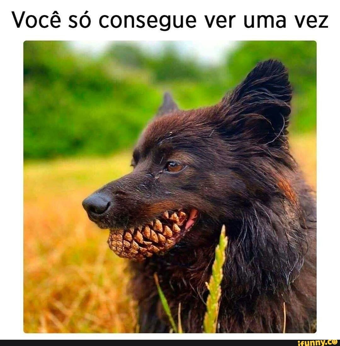 Você só consegue ver uma vez