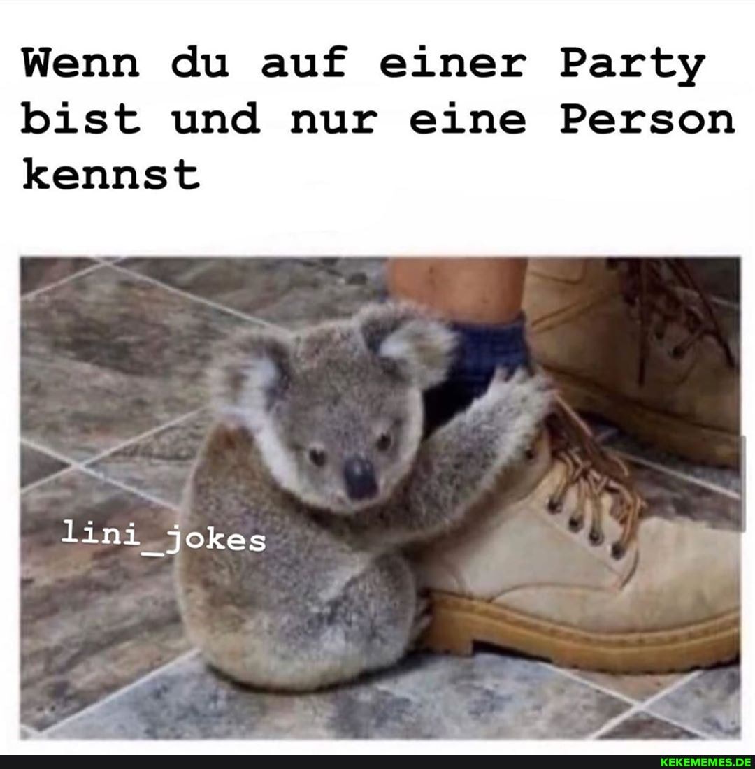 Wenn du auf einer Party bist und nur eine Person kennst
lini jokes