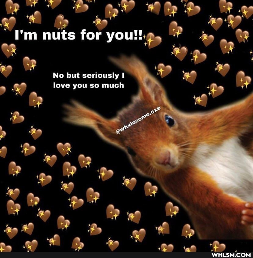 "Tim nuts for you!!
No but seriously
love you so much