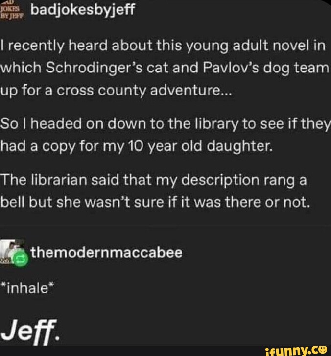 Librarian memes. Best Collection of funny Librarian pictures on iFunny