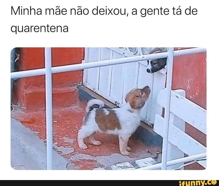 Minha mãe não deixou, a gente tá de quarentena