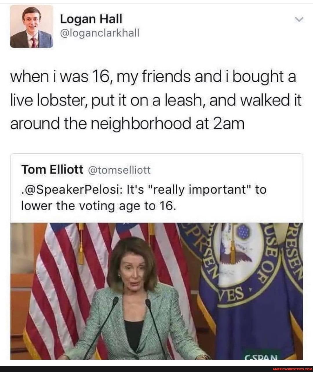 Logan Hall
when i was 16, my friends and i bought a live lobster, put it on a leash, and walked it around the neighborhood at
Tom Elliott @tomselliott
.@SpeakerPelosi: It's "really important" to lower the voting age to 16.