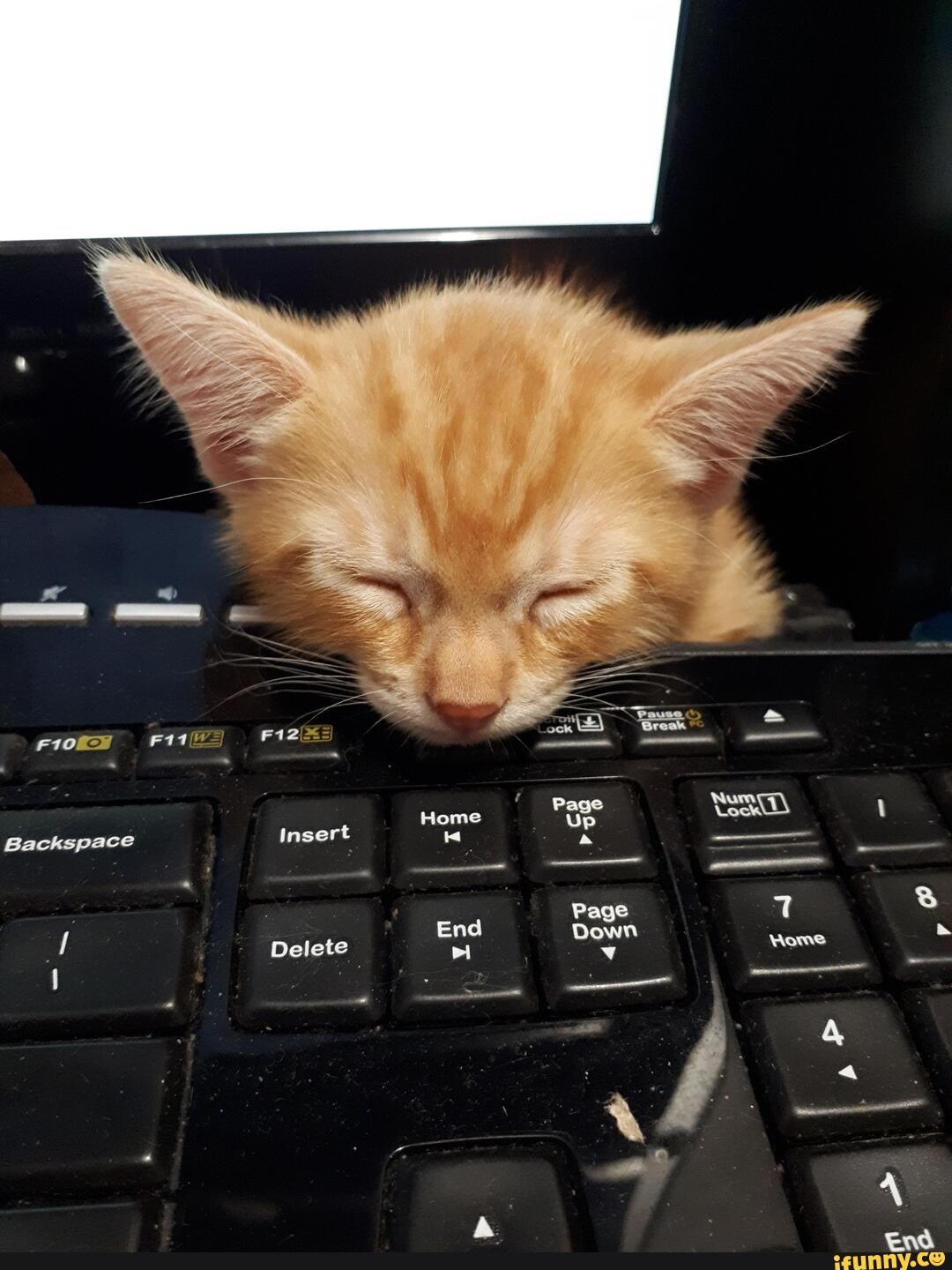 Home Page
Backspace Insert q
Page
Down
Delete
End
2 \
