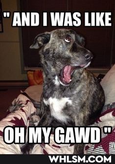AND WAS LIKE
OH MY.GAWD"