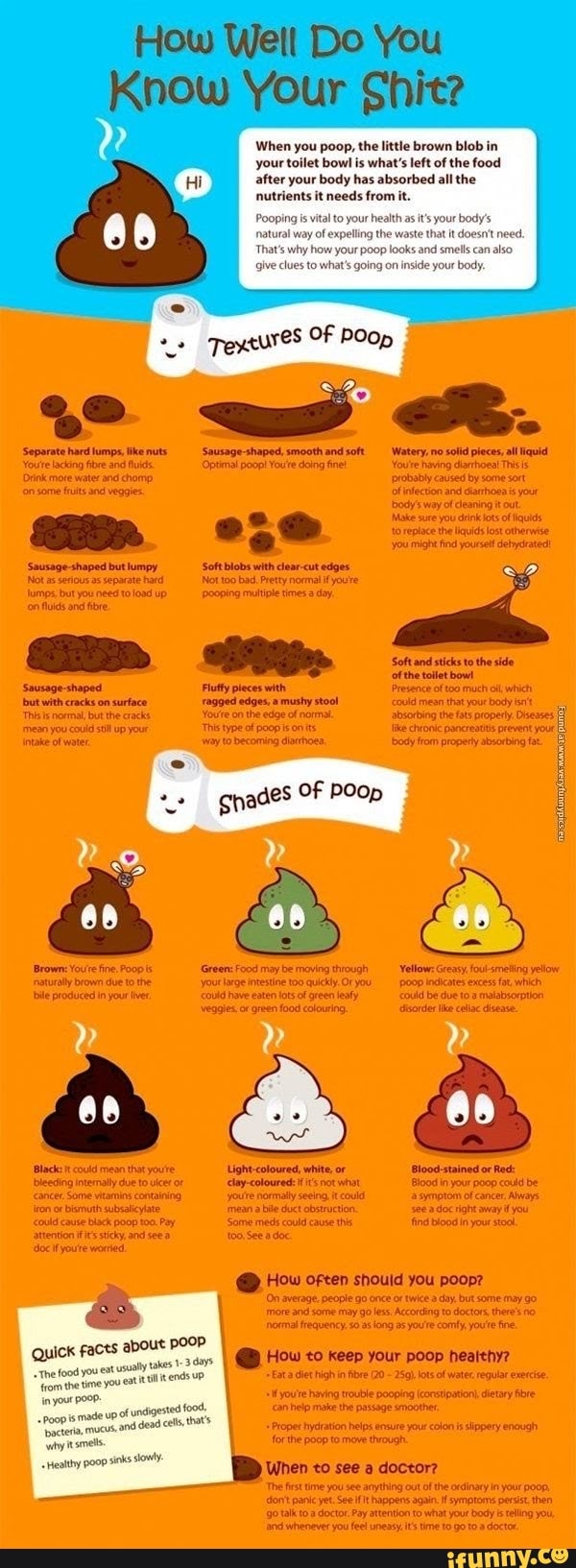 How Well Do You Know Your When you poop, the little brown blob in your toilet bowl is what's