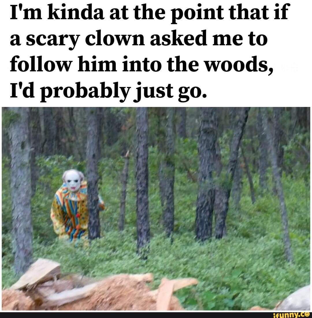 I'm kinda at the point that a scary clown asked me to follow him into the woods,
I'd probably just go.