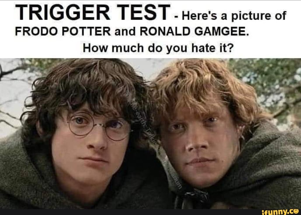 Trigger Test - Here's A Picture Of Frodo Potter And Ronald Gamgee. How 