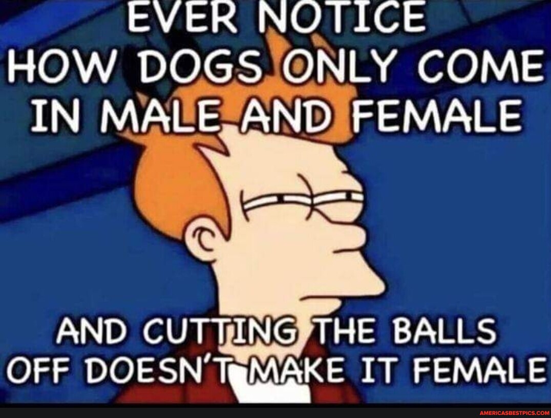 EVER NOTICE HOW DOGS ONLY COME IN MALE AND FEMALE AND CUTTING THE BALLS OFF DOESN KE IT FEMALE
