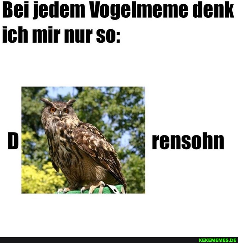 Bei jedem Vogelmeme denk
ich mir nur so
rensohn