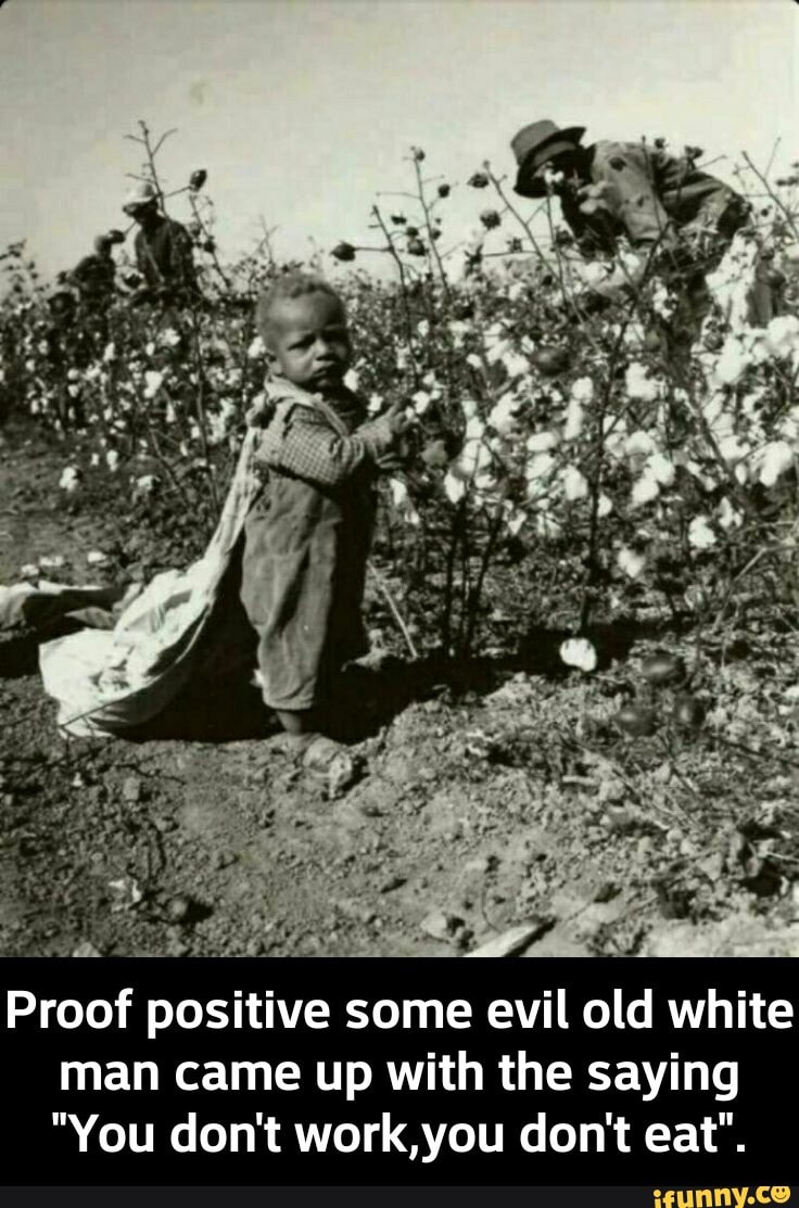 Proof positive some evil old white
man came up with the saying
"You don't work,you don't eat". - Proof positive some evil old white man came up with the saying "You don't work,you don't eat".