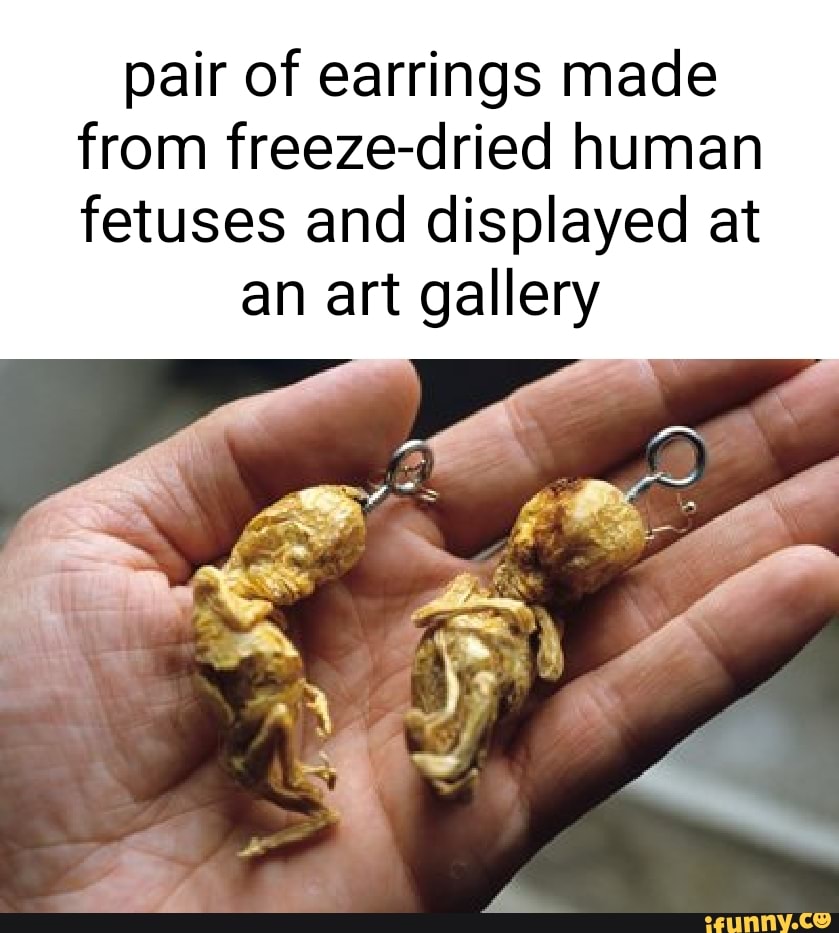 Pair of earrings made from freezedried human fetuses and displayed at